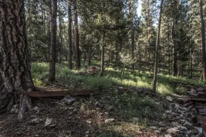 Image of RockInn Pines