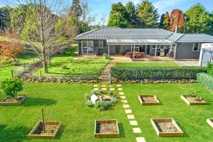 Image of Lilyview Cottage - Robertson