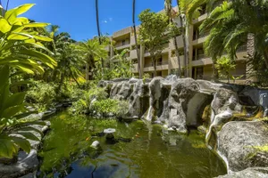 Image of Paki Maui 104