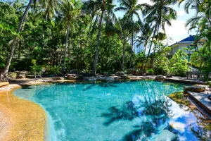 Image of Superior Poinciana 011 on Hamilton Island