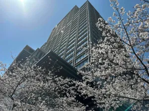 Image of Hotel Monterey Grasmere Osaka