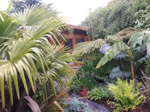 Image of Cabin set in a Beautiful Romantic Tropical Garden