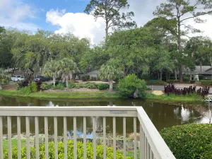 Image of Turtle Lane 4