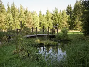 Image of Holiday Home in Jagersgrun With Sauna