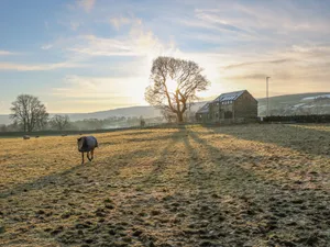 Image of Briar Barn