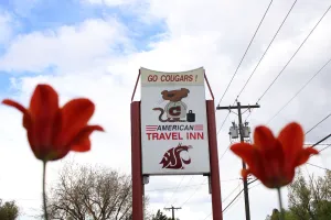 Image of American Travel Inn