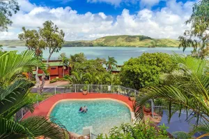 Image of Heliconia Grove 9