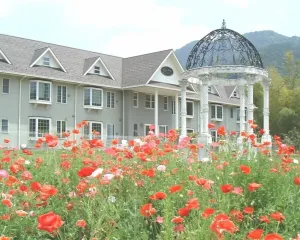 Image of Condominium Square Hills
