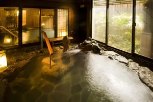 Image of Dormy Inn Hakata Gion