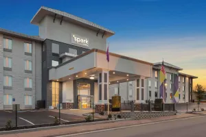 Image of Spark by Hilton Branson Meadows