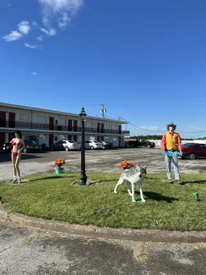 Image of Motel Boutique by Wolf Inn