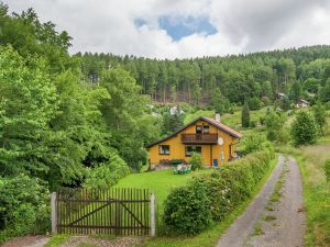 Image of Holiday home near the ski area