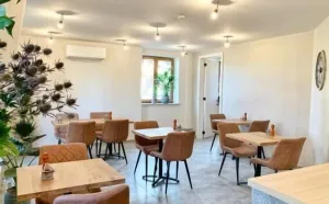 Image of B&B elzartwinning