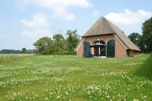 Image of Quaint Farmhouse in Geesteren with Meadow View