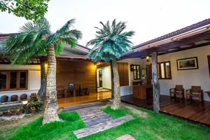 Image of Tree Home Plus