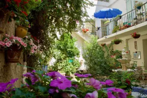 Image of Villa Rosa Béziers