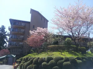Image of Hakone Forest of Verde