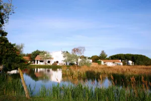 Image of Les Rizières