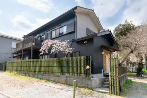 Image of TEMARI