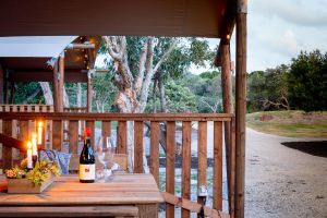 Image of Ballina Beach Nature Resort