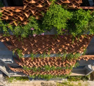 Image of Iris Suites