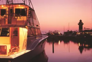 Image of Holiday Inn Express Hilton Head Island by IHG