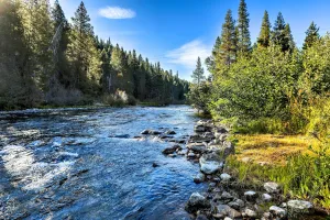 Image of Rustic Riverfront Truckee Cabin with Deck and BBQ