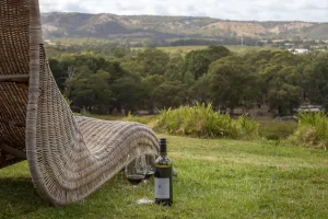 Image of WayWood Wines Your Vineyard Getaway