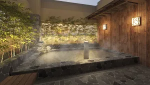 Image of Dormy Inn Ikebukuro