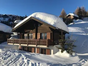 Image of Toggi EG