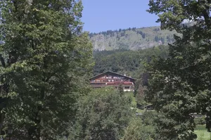 Image of Edelweiss