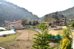 Image of DAMYANTI RESORT
