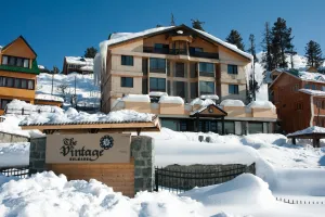 Image of The Vintage Gulmarg