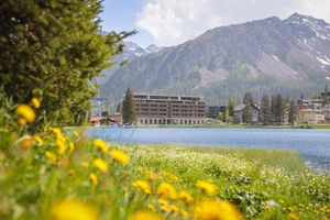 Image of Aves Arosa