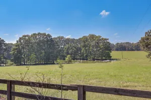 Image of Rural Retreat: Cypress Lake By Roosevelt St Park