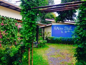 Image of Raven Blue
