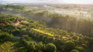 Image of Maya Ubud Resort & Spa