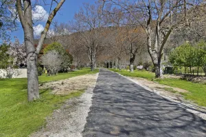 Image of Kalamunda 6 - On the Rail Trail