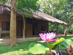 Image of Ama Villa