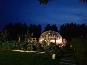 Image of La bulle au bois dormant d'ovifat