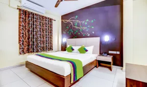 Image of Treebo Petals Suites