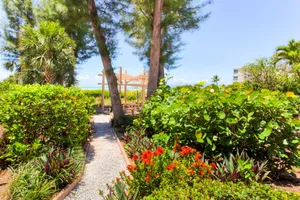 Image of Coquina Beach 3C