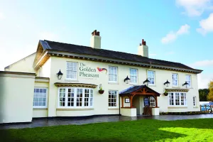Image of The Golden Pheasant