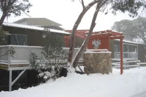 Image of Elkhorn 17