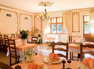 Image of Logis Hôtel Teyssier