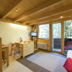 Image of Résidence Grand Roc - Ancolies 103 - Happy Rentals