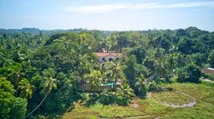 Image of Galle Henna Estate