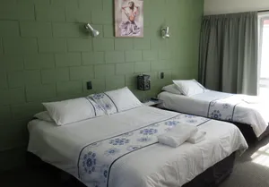 Image of Kuirau Park Motor Lodge- Thermal Mineral pool