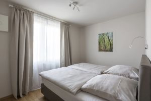 Image of Premium Apartments Thommen