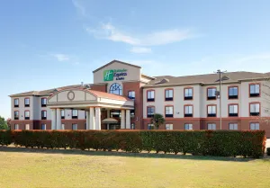 Image of Holiday Inn Express Hotel & Suites Burleson/Ft. Worth by IHG